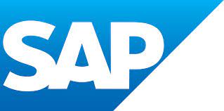 techy provide sap services